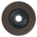 PEGASTAR Rounded Flap Disc